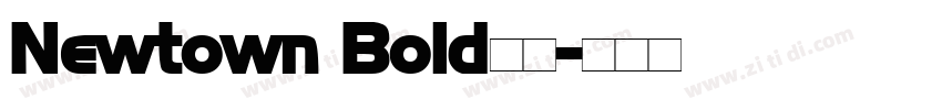 Newtown Bold字体字体转换